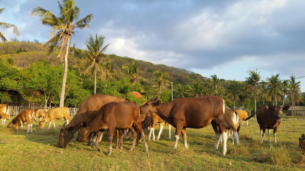 Auberge de jeunesse La Favela à Gili Trawangan Extérieur photo